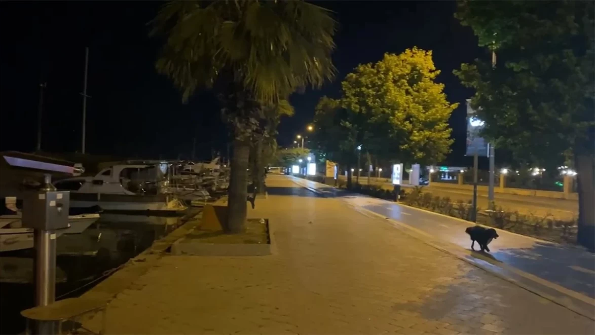 Akdeniz’de 6.0 Büyüklüğünde Deprem