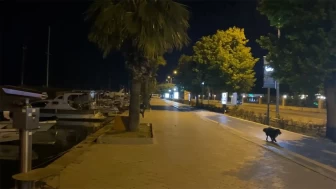 Akdeniz’de 6.0 Büyüklüğünde Deprem