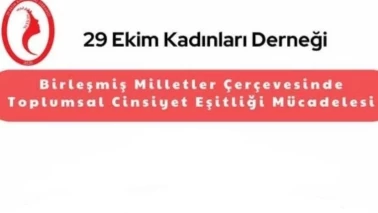 29 Ekim Kadınları Derneği’nden Toplumsal Cinsiyet Eşitliği Paneli