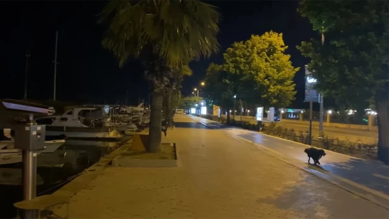 Akdeniz’de 6.0 Büyüklüğünde Deprem